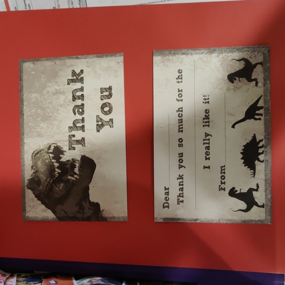 12 Dinosaur thank you cards
